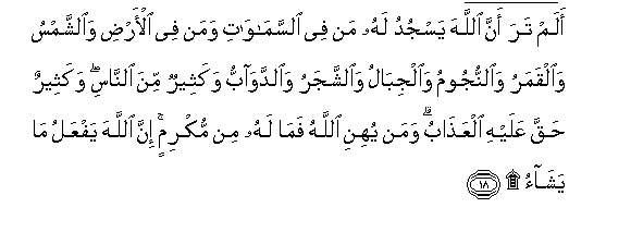 Surah Al Hajj Verse 18